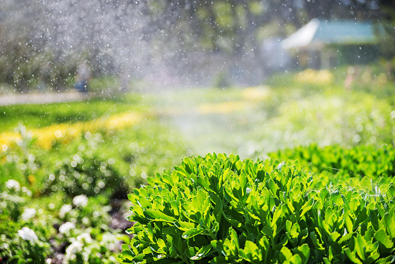 Ignoring Sprinkler Repairs