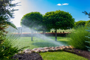 Sprinkler Leak Detection services in Frisco, TX