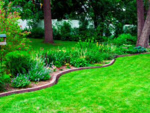 treat lawn naturally to produce green lush lawn