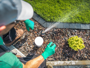 low water pressure sprinkler being fixed by lawn care specialist