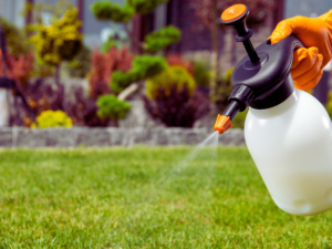 lawn care specialist spraying pre emergent to north texas lawn