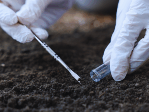 Lawn care specialist testing soil 