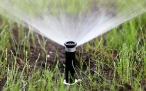 Sprinkler Head Repair in Frisco, TX with water coming out