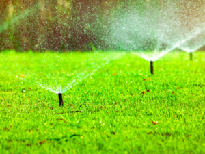 Sprinkler System Startup Checkup