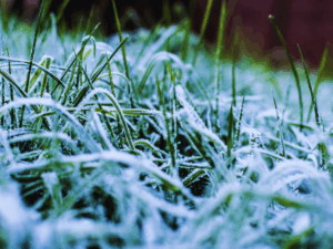 Sprinkler Winterization Checklist for Dallas Homeowners