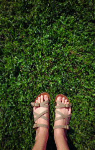 Homeowner standing on lawn trying to diagnose lawn disease