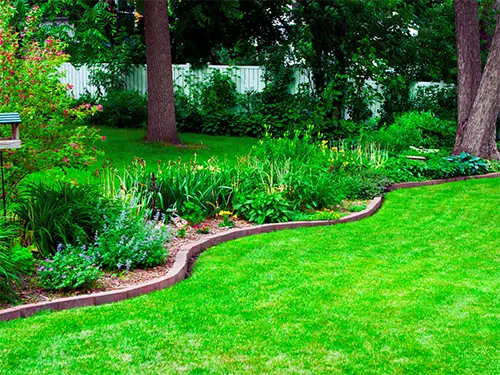 Healthy backyard after professional lawn disease treatment in Allen, TX by Lawn Sense