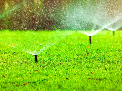 Lawn irrigation sprinkler system watering green grass with multiple sprinkler heads