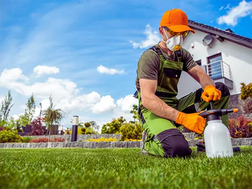 Lawn care technician applying pre-emergent treatment to prevent weeds in a residential lawn
