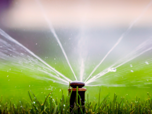 rotary type of sprinkler head