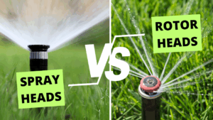 spray head vs rotor head sprinklers