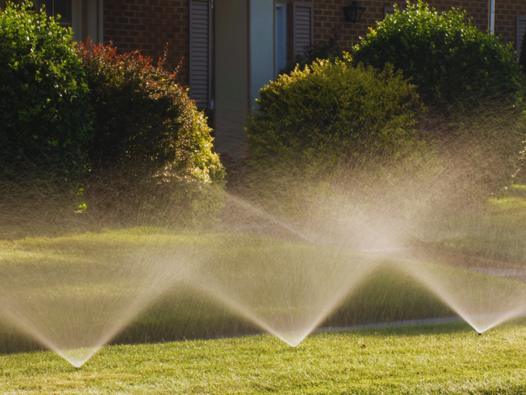 Water Restrictions in Plano, TX